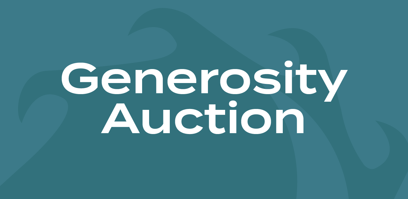 Stream Auction
